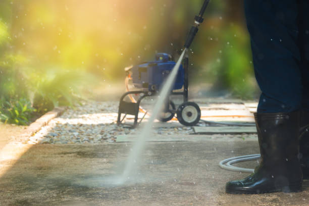 Best Animal Enclosure Cleaning  in South Pasadena, FL